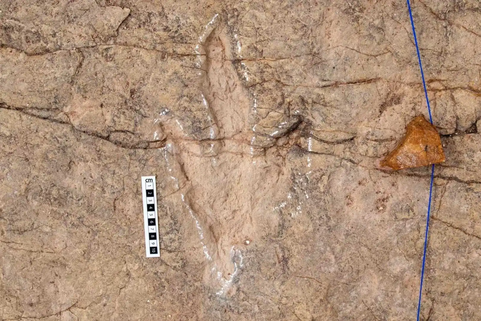 Identificación de huellas