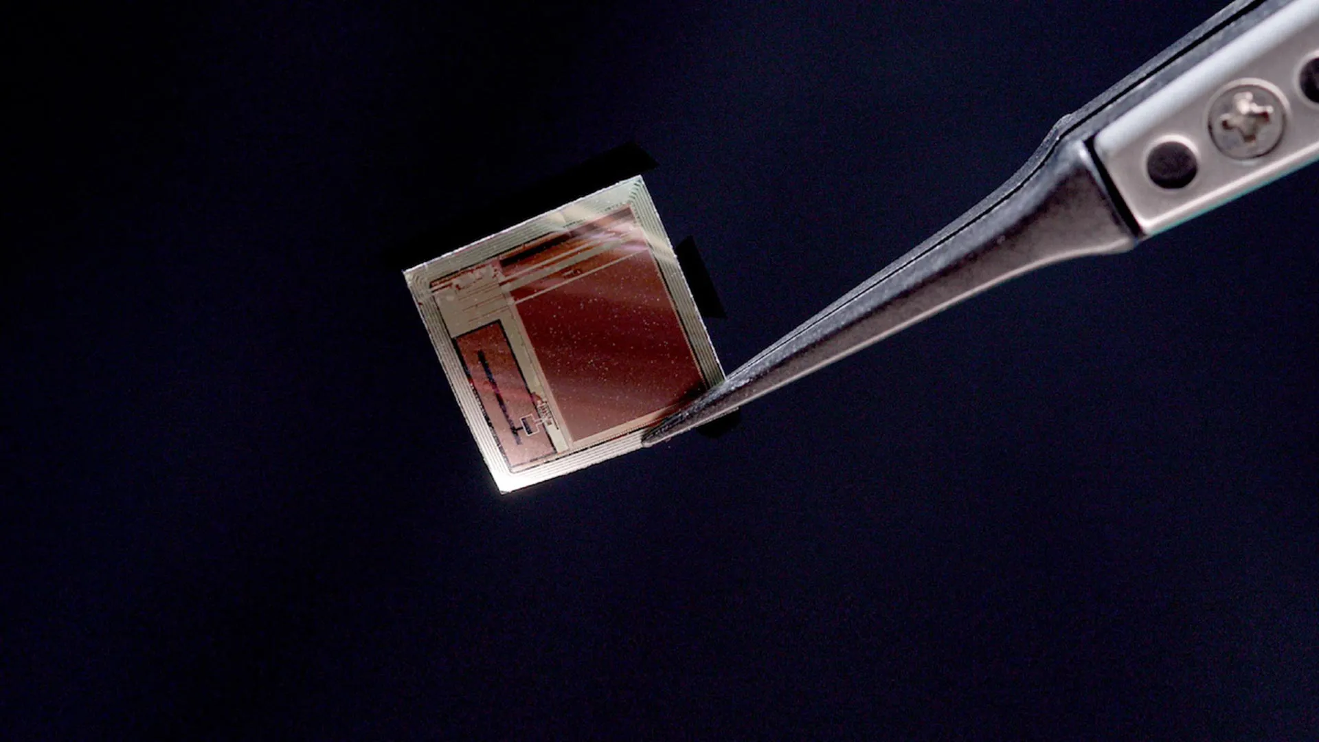 Microchip Cerebral Transmite Pensamientos