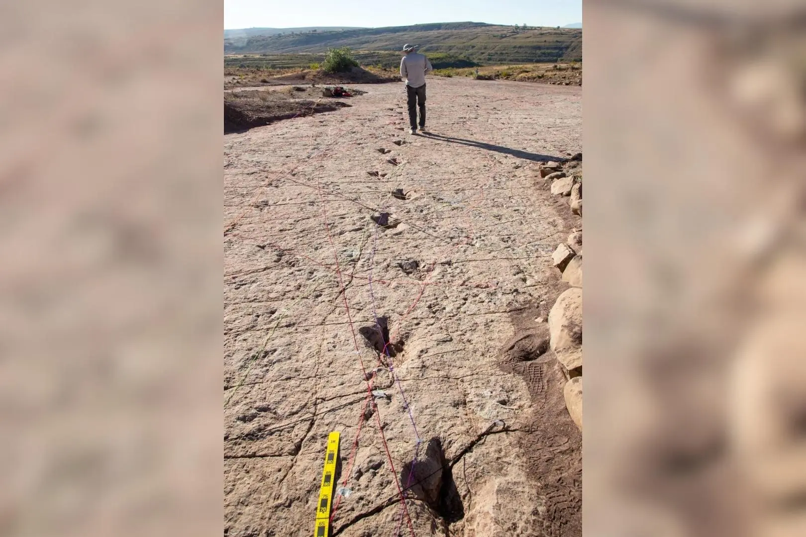 Huellas de dinosaurios en Bolivia