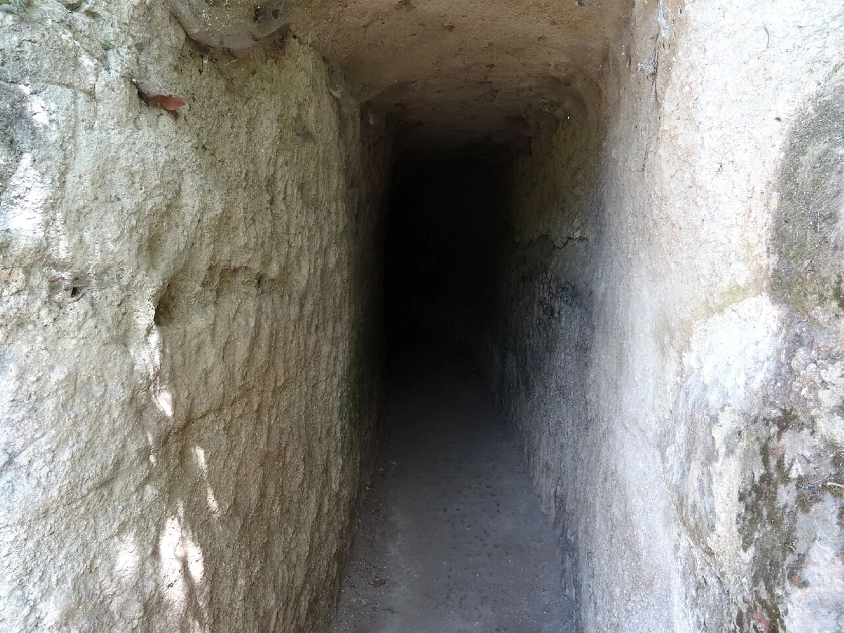 Cunículo de Veyes